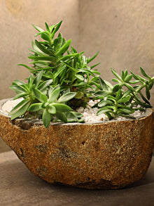 Boulder Planter
