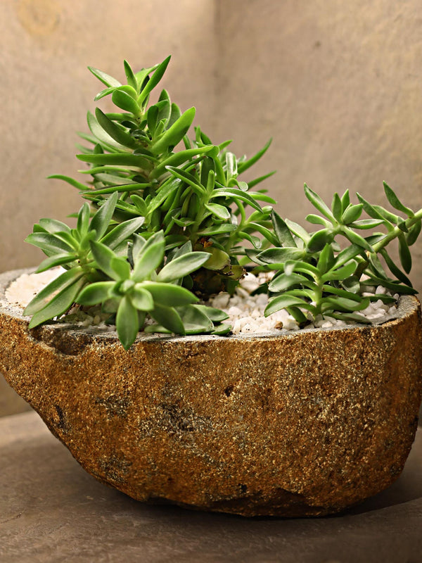 Boulder Planter