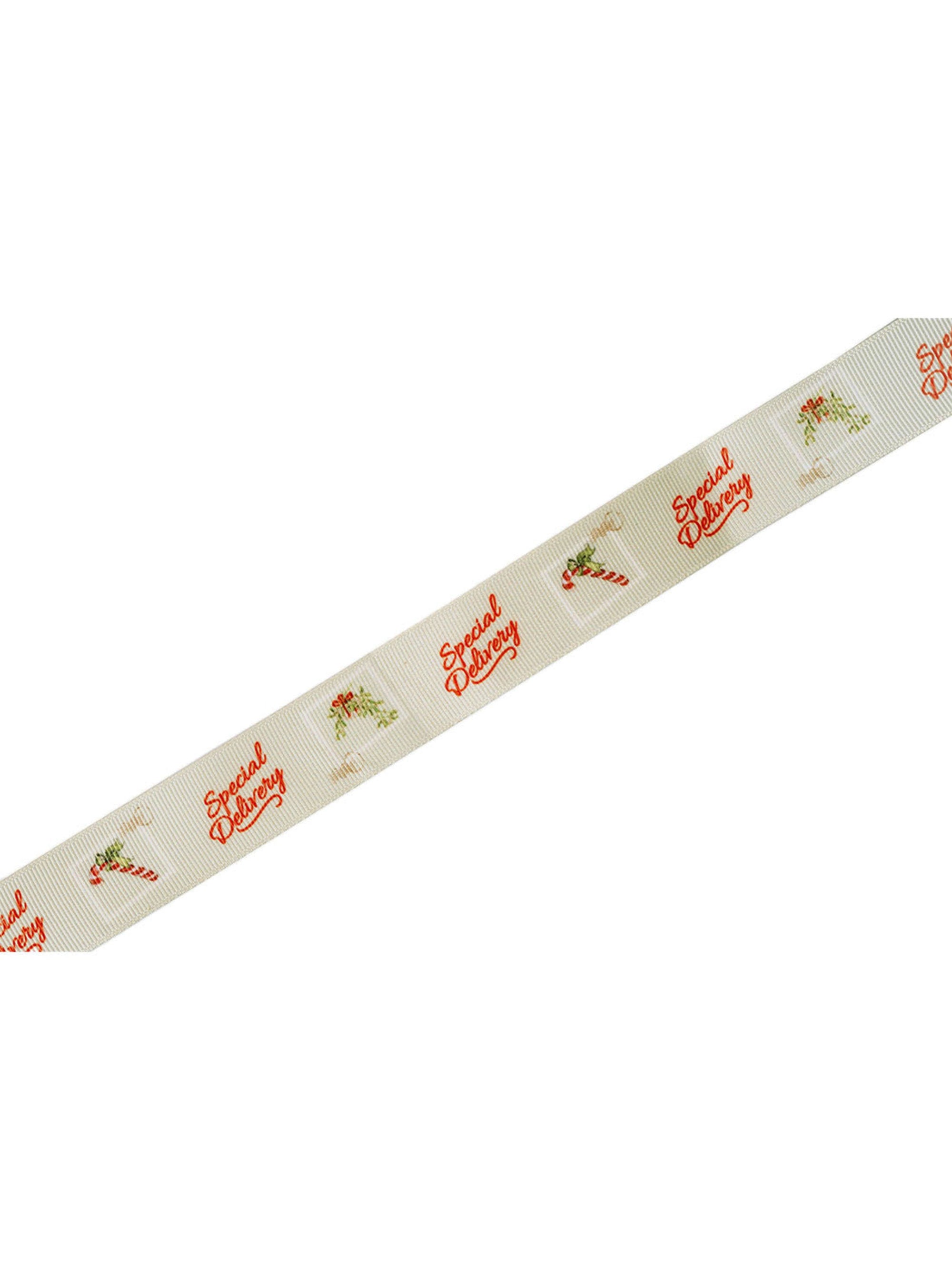 Special Delivery Ribbon