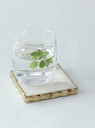 Scallops Coaster