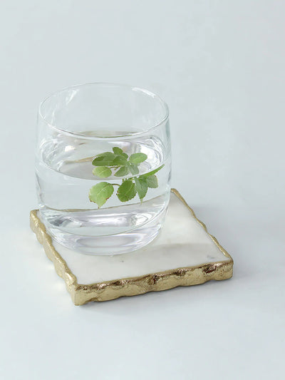 Scallops Coaster