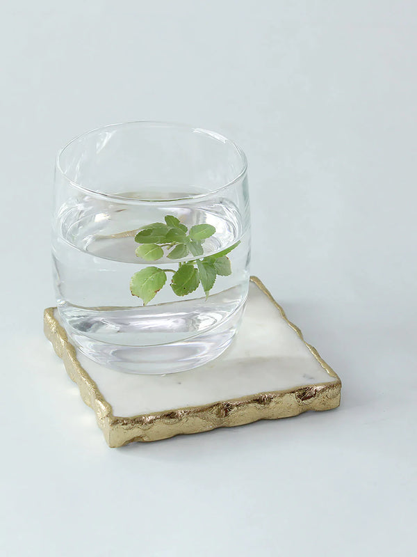 Scallops Coaster
