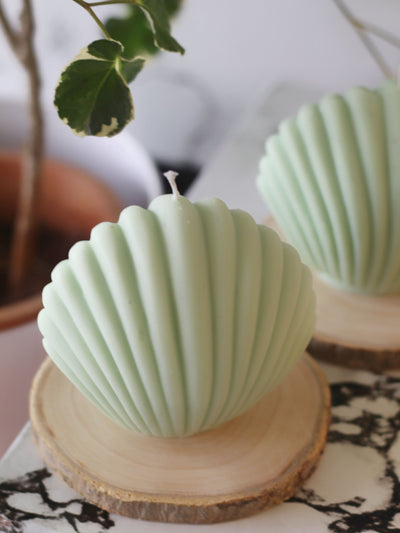 Green Shell Soy Candle