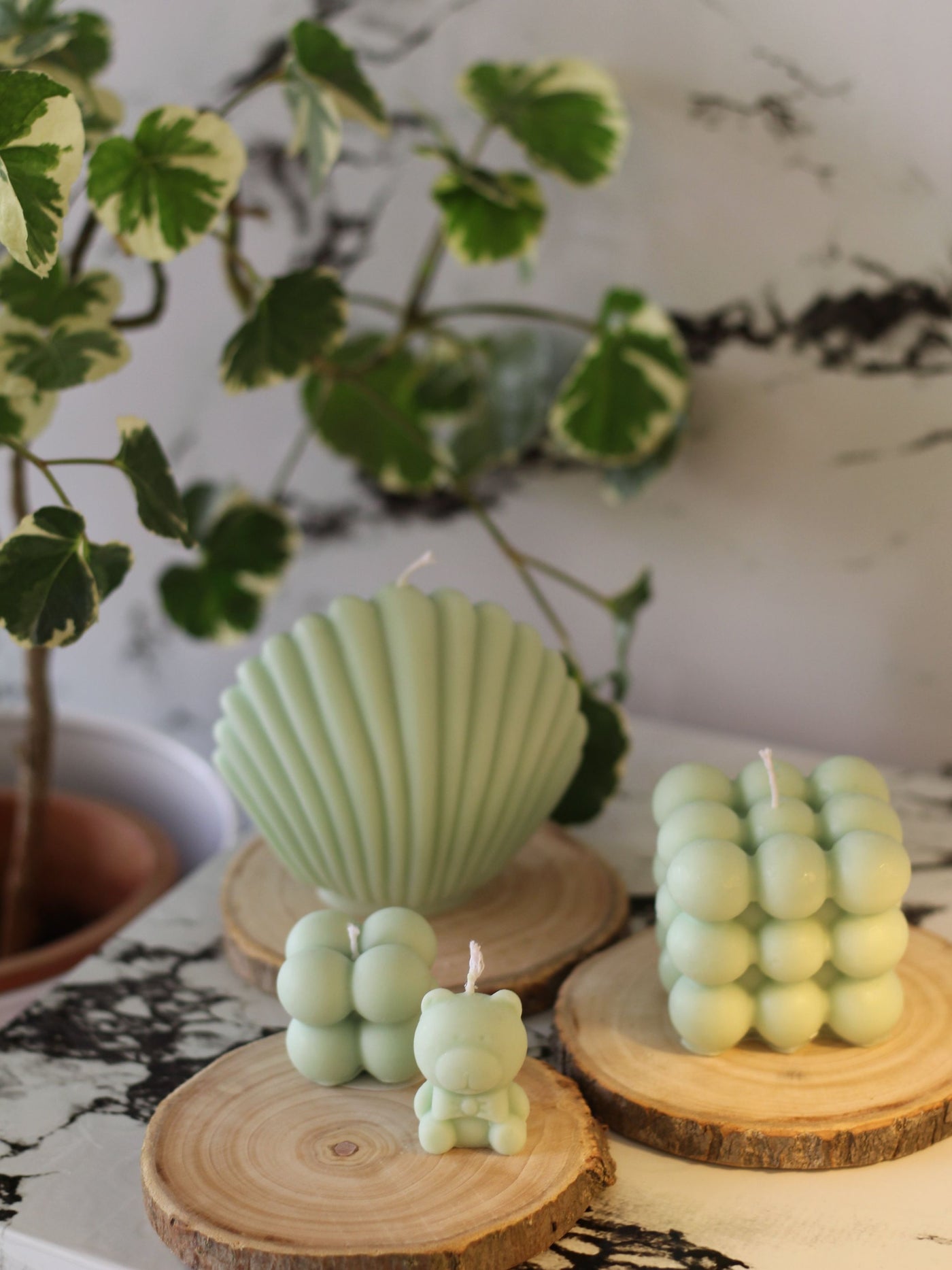 Combo of Green Bubble & Shell Candle