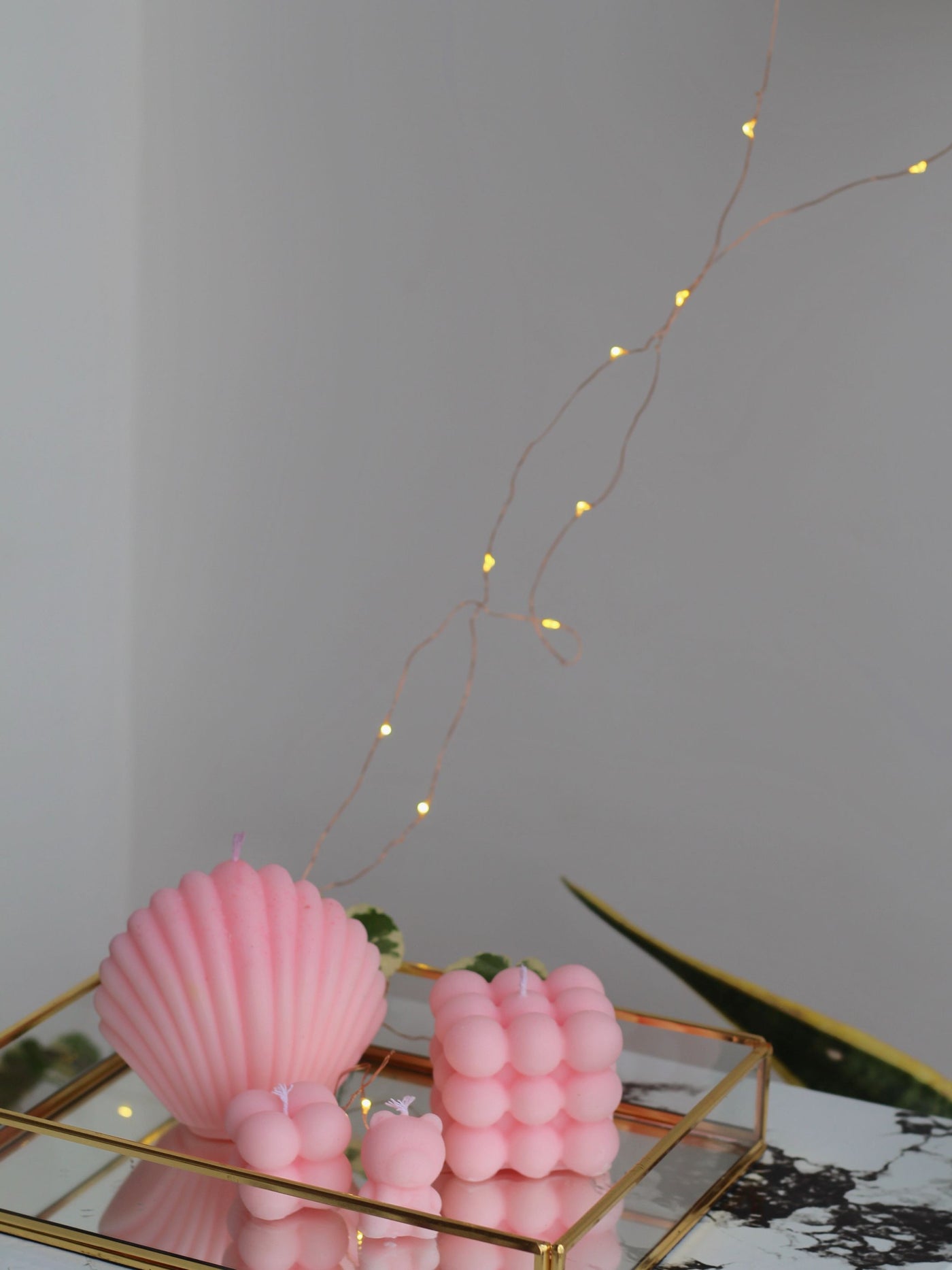 Combo of Pink Bubble & Shell Soy Candles
