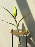 Gold Budvase with Test Tube