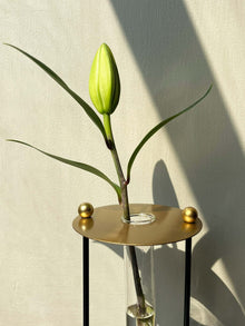 Gold Budvase with Test Tube