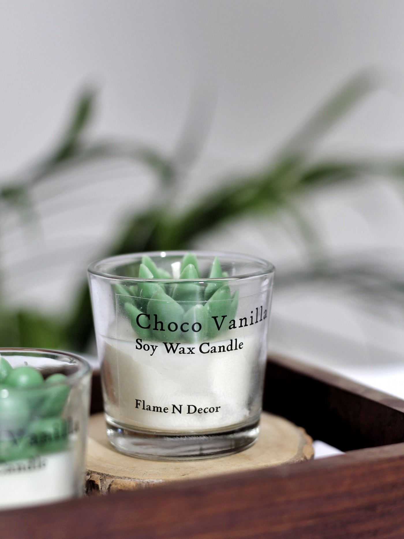 Choco Vanilla Combo Succulent Candle