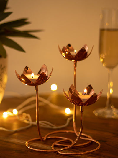 Lotus Cluster - Brass
