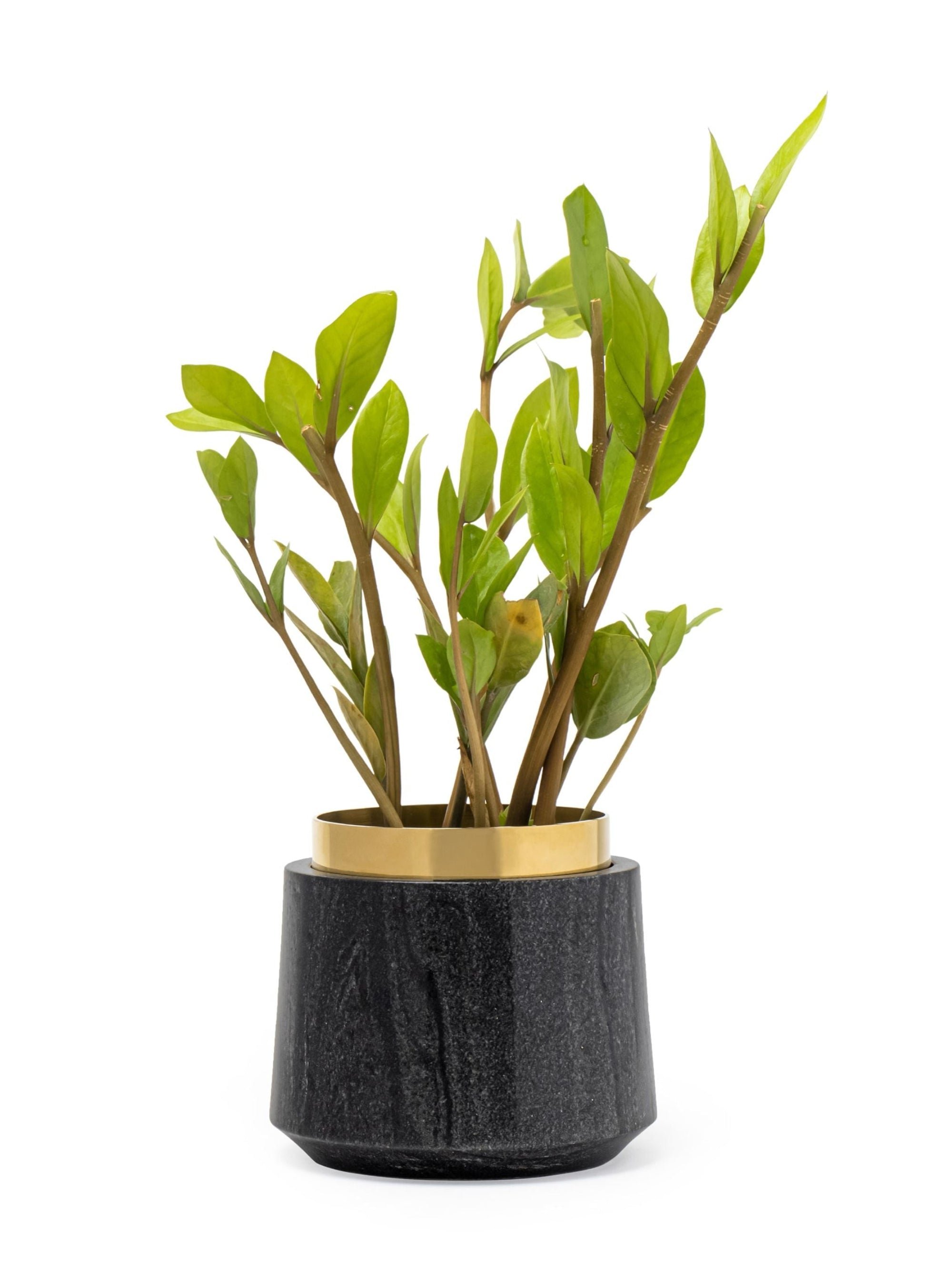 Black Marble Oronoir Planter
