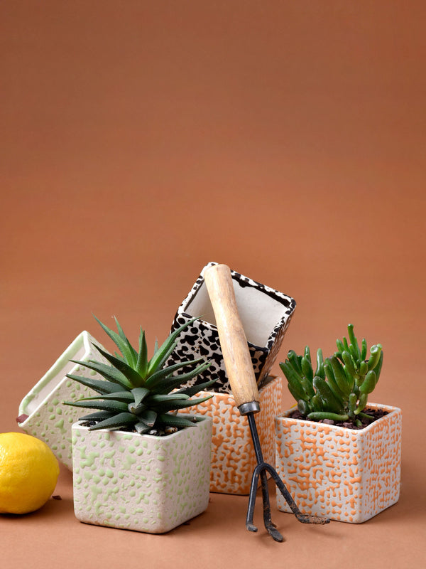 Speckled Cube Planter