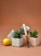 Speckled Cube Planter