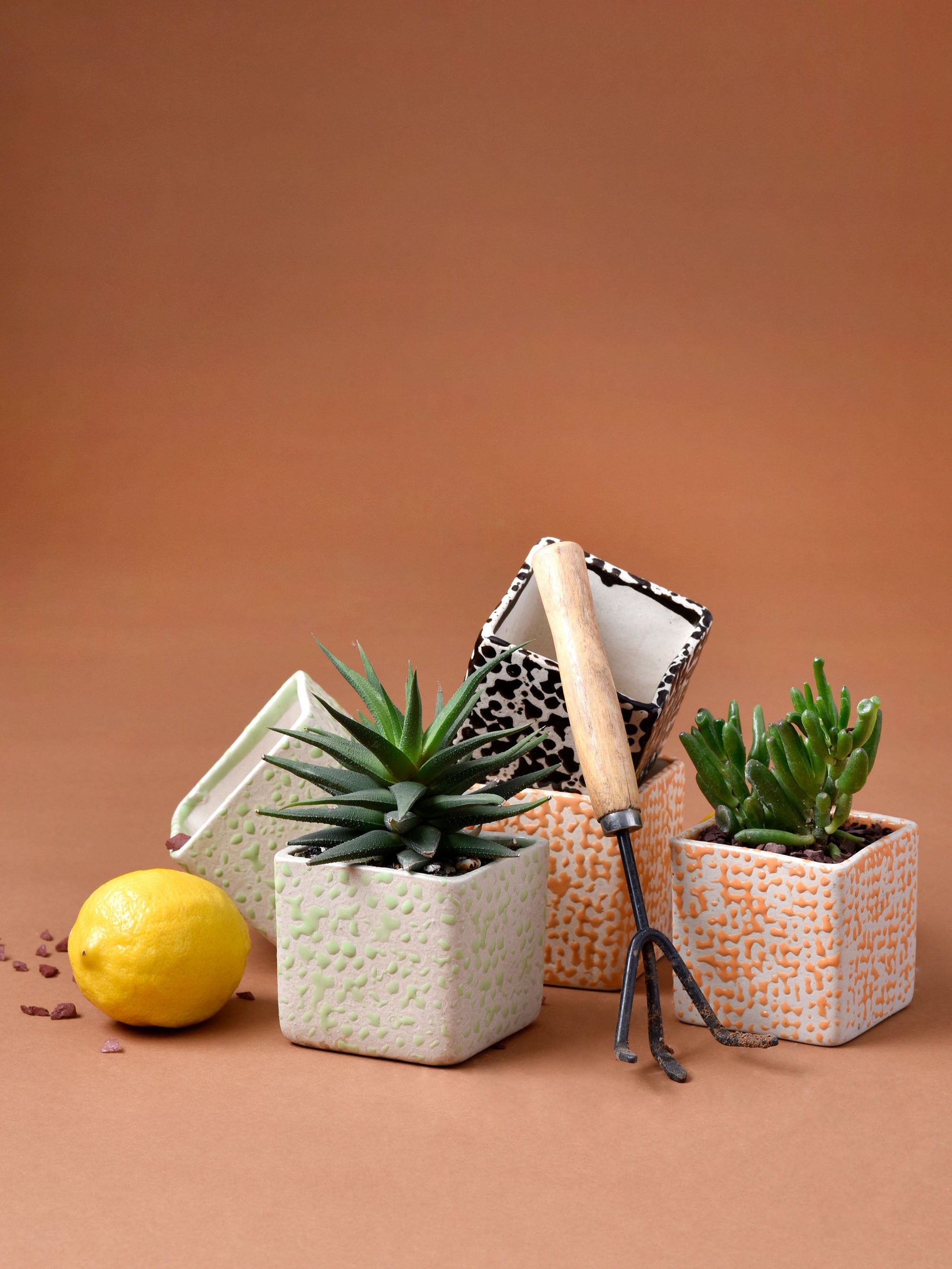 Speckled Cube Planter