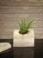 Semi Precious Selenite Planter