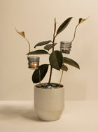 Calla Lily Garden Sticks