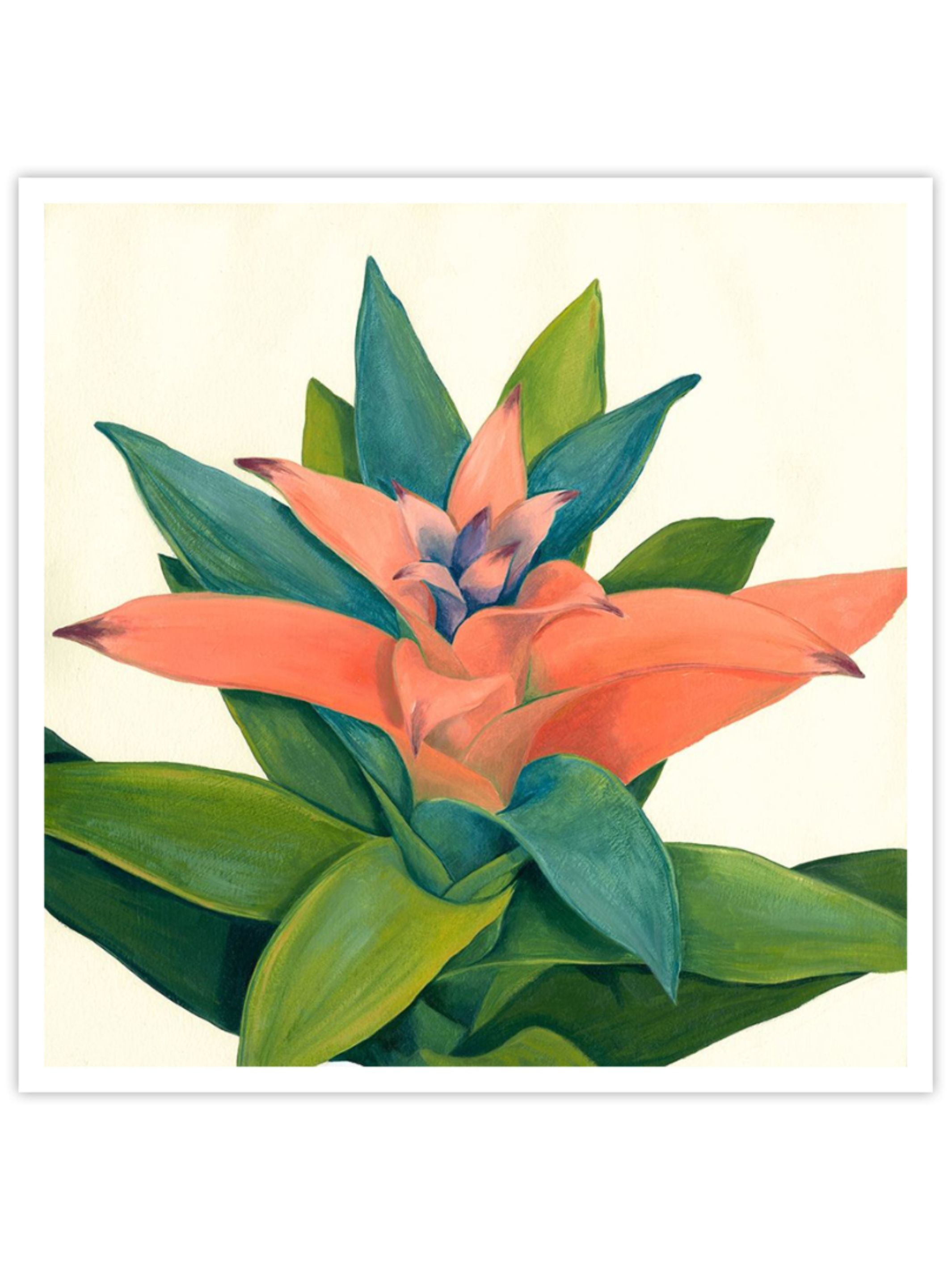 Wall Prints - Tropical IV
