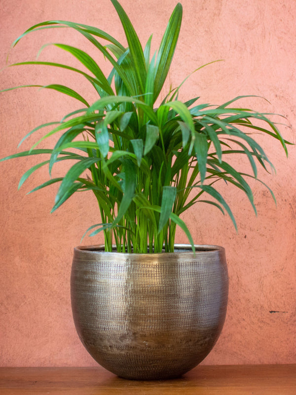 Antique Bronze toned Round Vintage Handcrafted Planter Medium