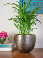 Antique Bronze toned Round Vintage Handcrafted Planter Set of 2