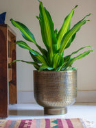 Antique Bronze toned Vintage Handcrafted Planter Set of 2