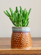 Aurora Light Ceramic Succulent Planter