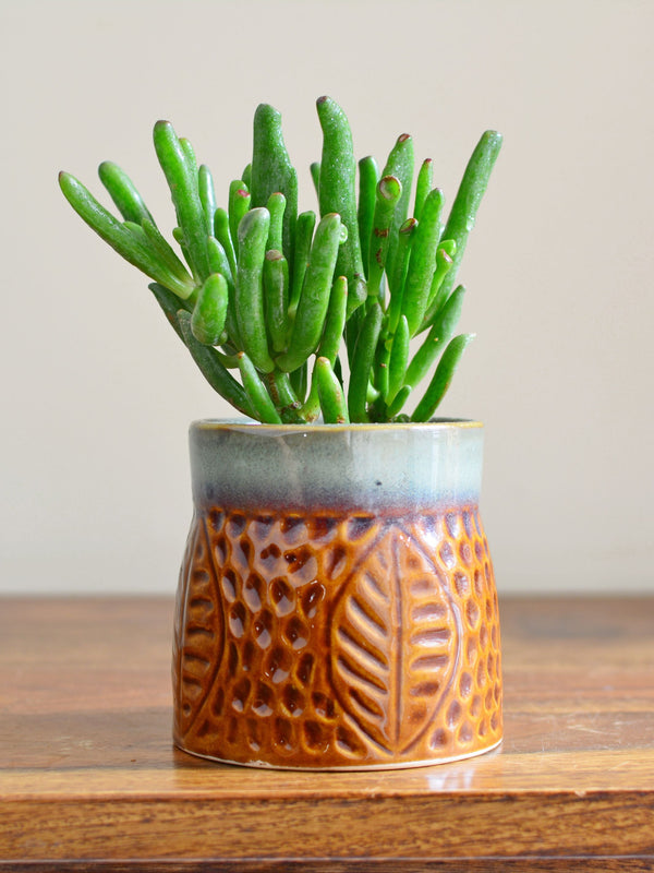 Aurora Light Ceramic Succulent Planter