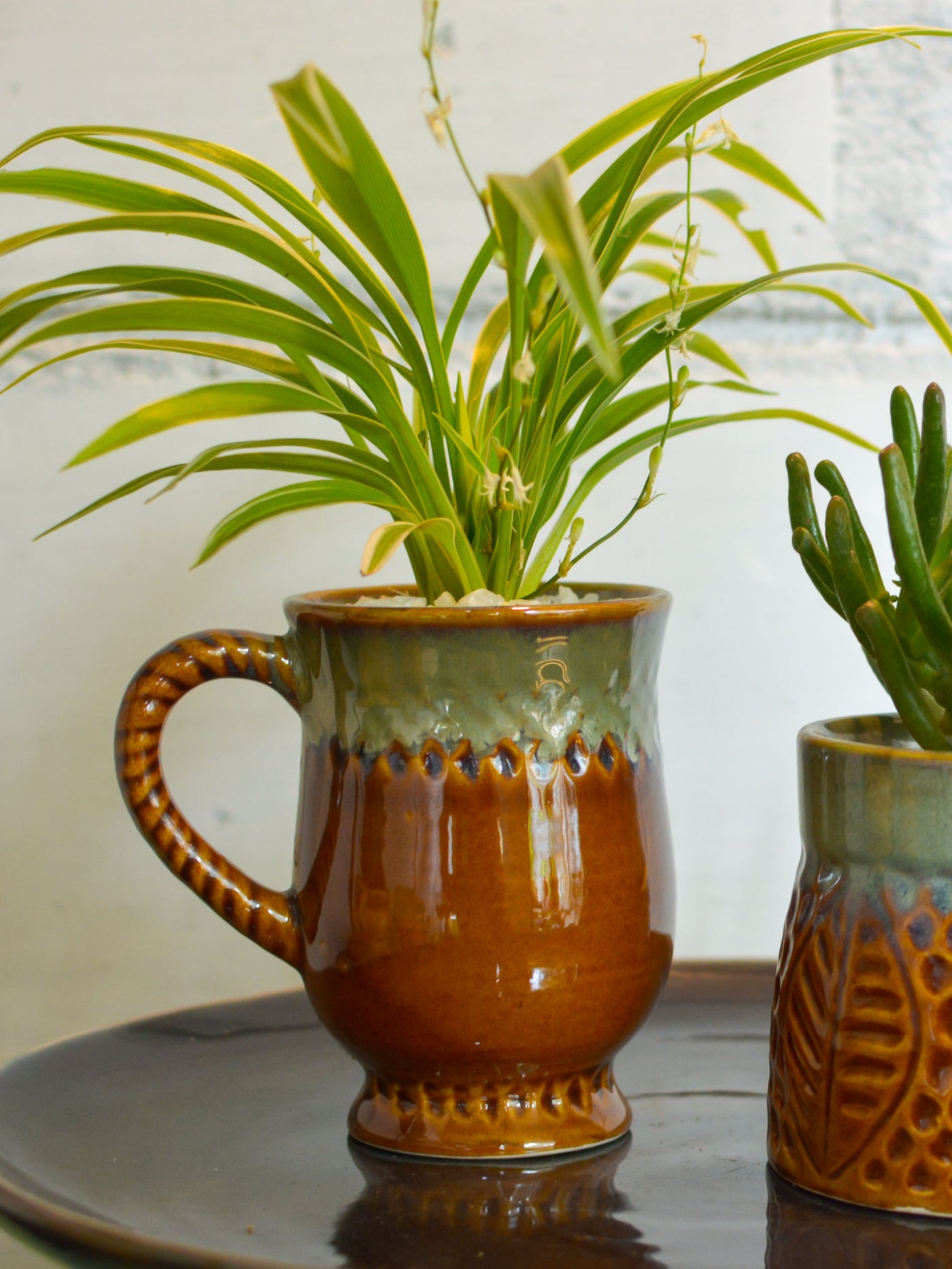 Aurora Pitcher Ceramic Succulent Planter