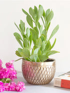 Azita Vintage Silver Hand-crafted Succulent Planter