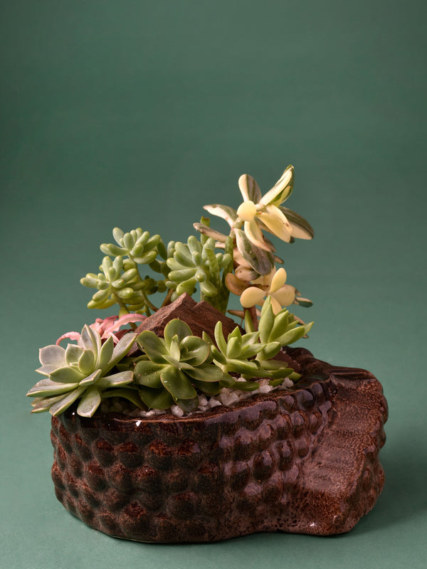 Beaded Oval Well Planter
