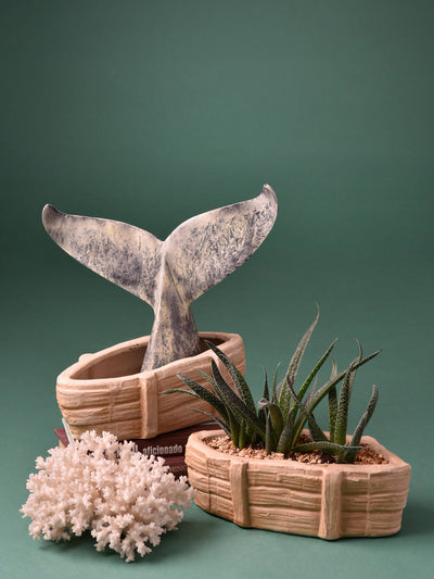 Boat Ceramic Planter