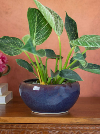 Ceramic Bonsai Planter Purple