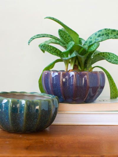 Ceramic Bonsai Planter Set of 2