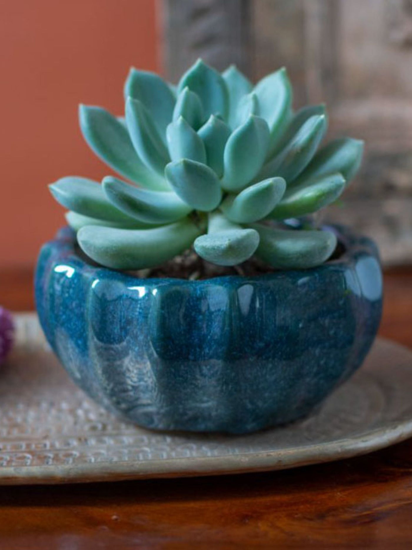 Ceramic Bonsai Planter Set of 2