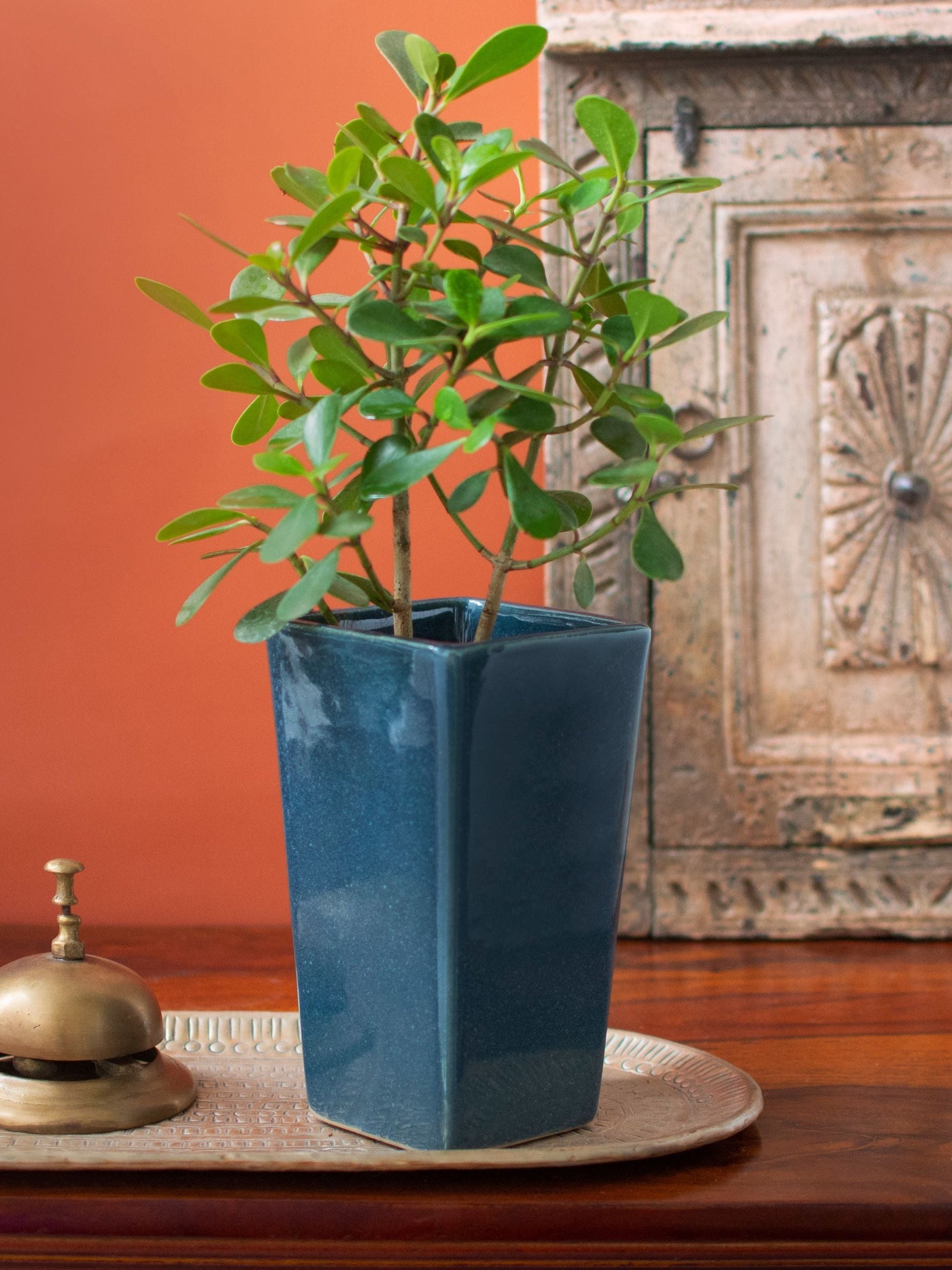 Ceramic Vase Planter Blue