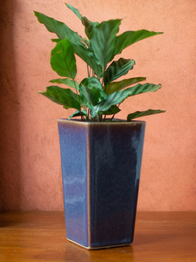 Ceramic Vase Planter Purple