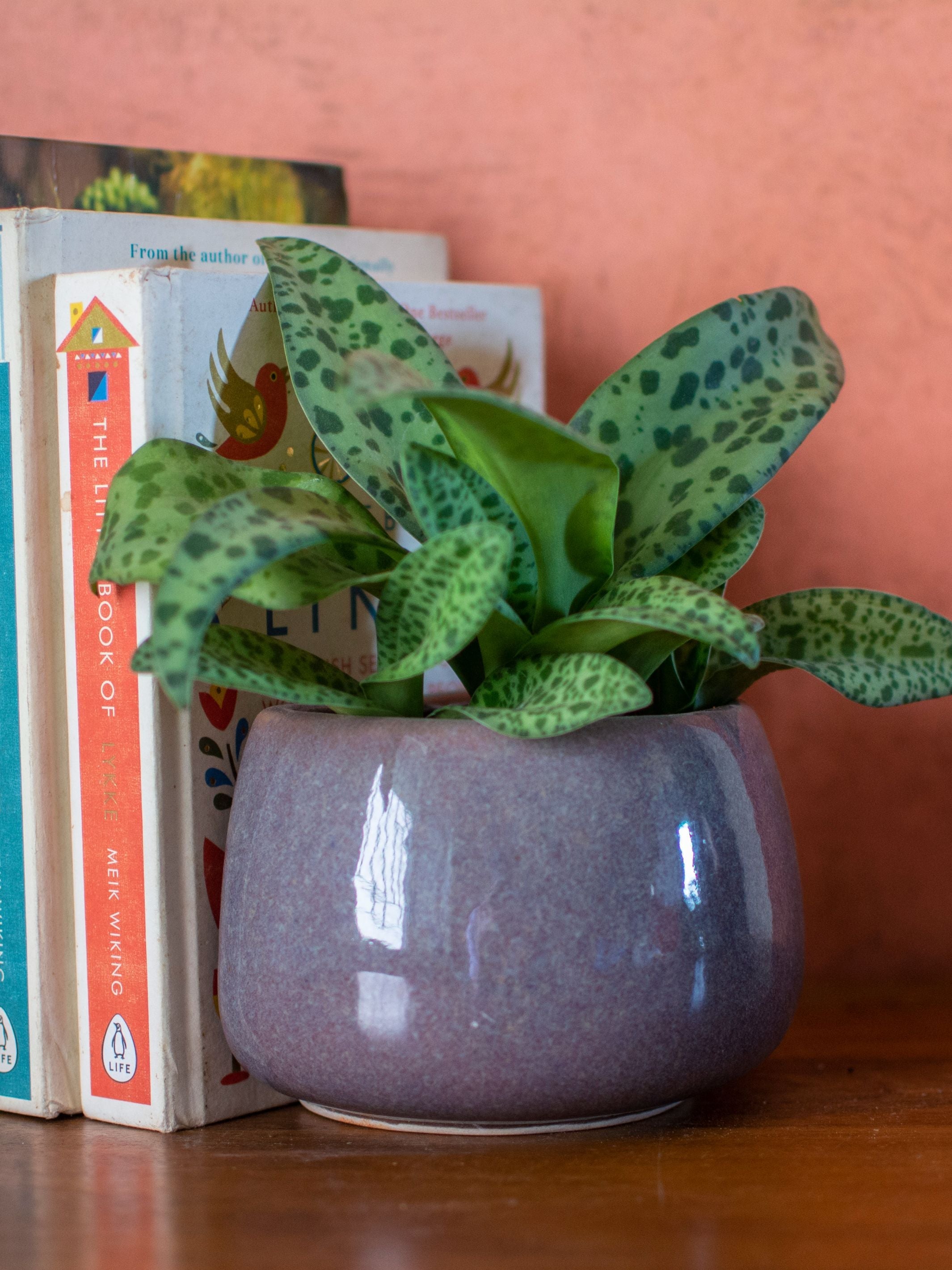 Ceramic Wall & Bookend Planter Grey