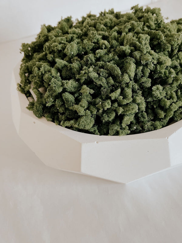 Concrete Geo Bowl Planter