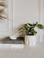 Concrete Geo Planter