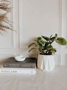 Concrete Geo Planter
