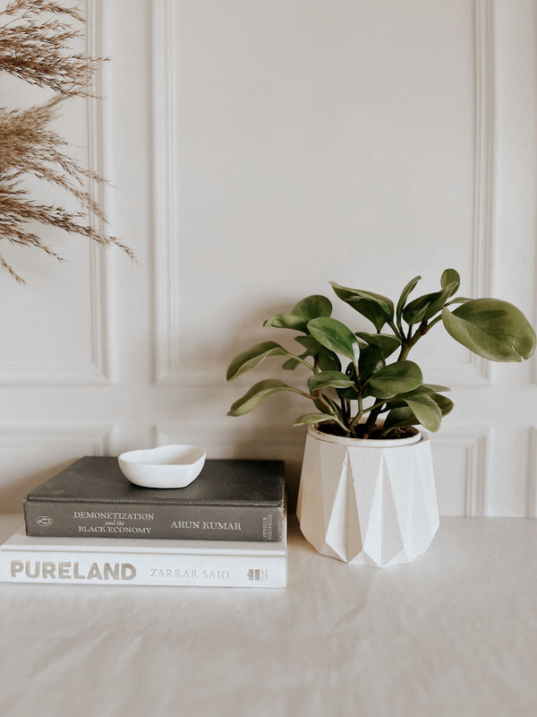 Concrete Geo Planter