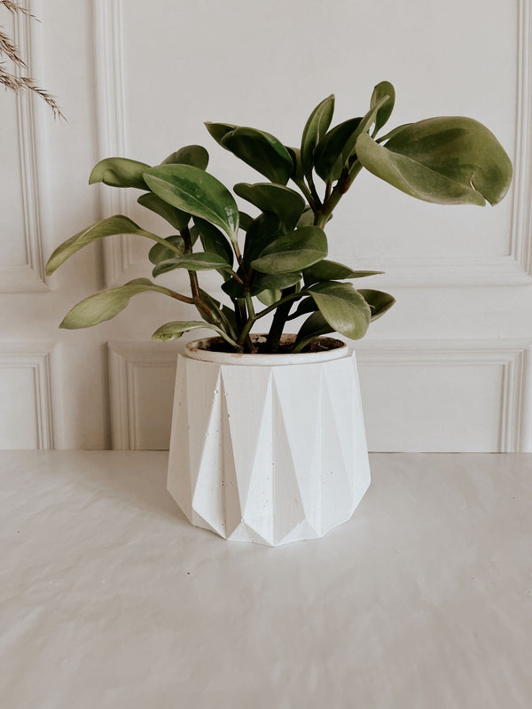 Concrete Geo Planter