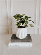 Concrete Geo Planter