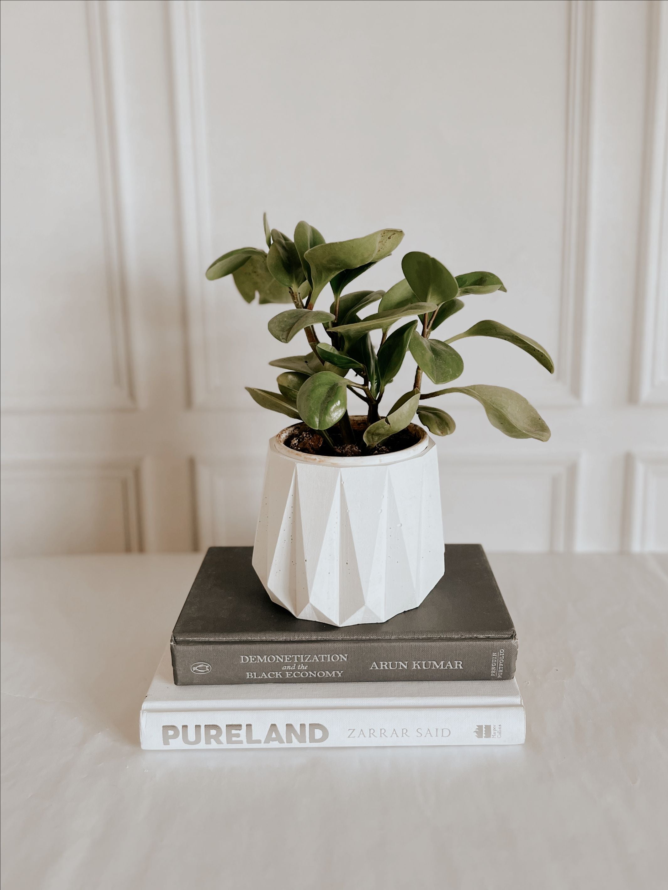 Concrete Geo Planter