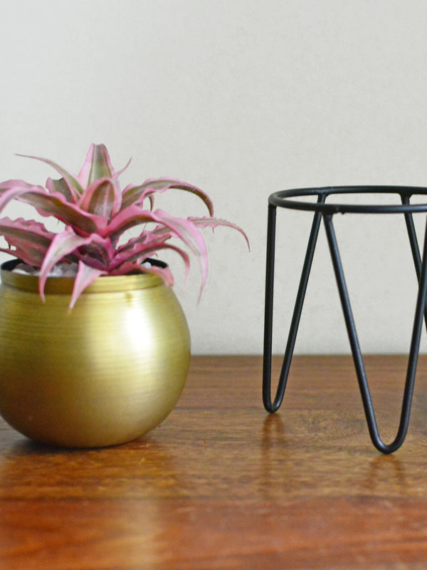 Crescent Succulent Planter Small