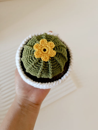 Crochet Ballon Cactus