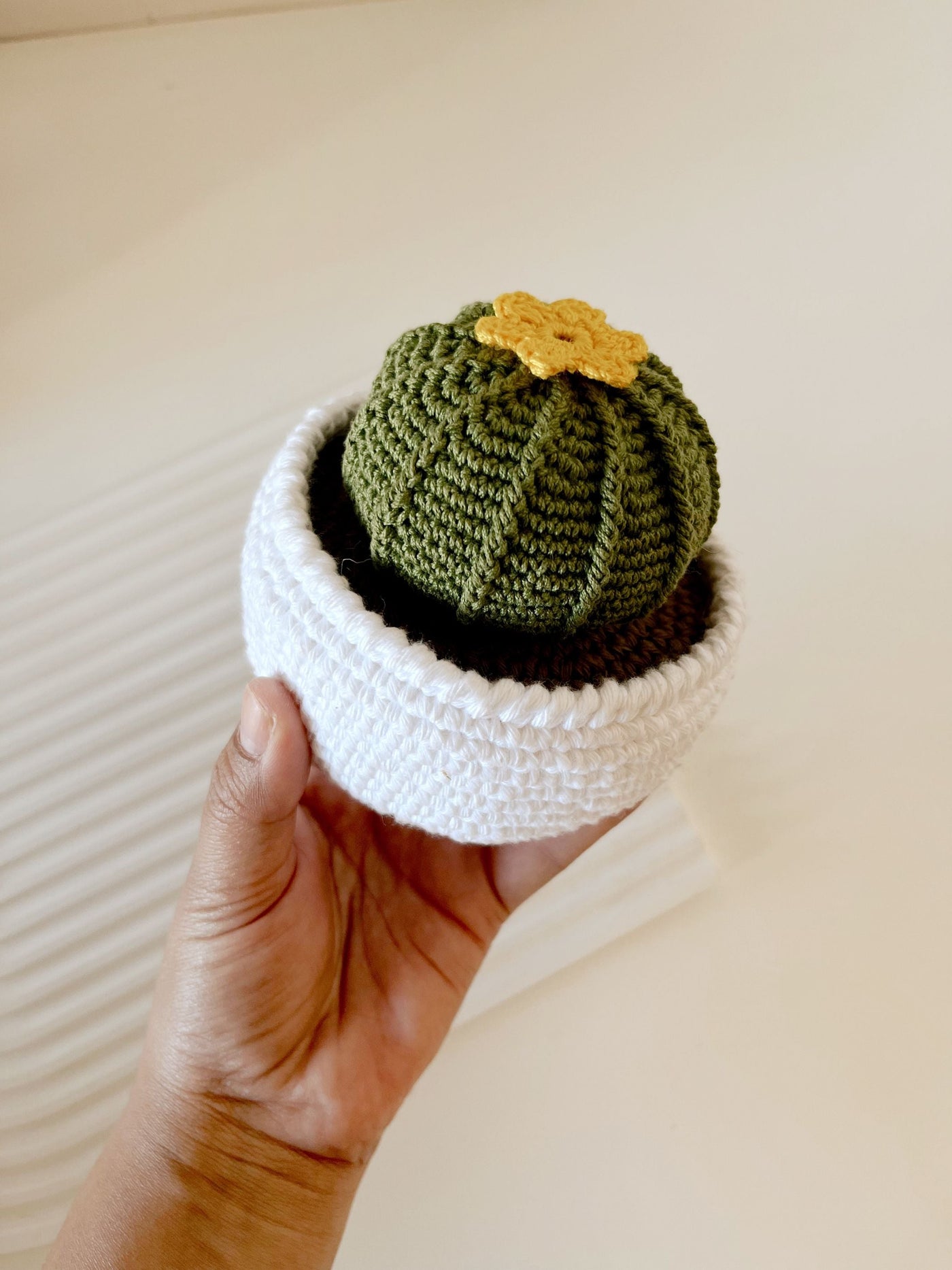 Crochet Ballon Cactus