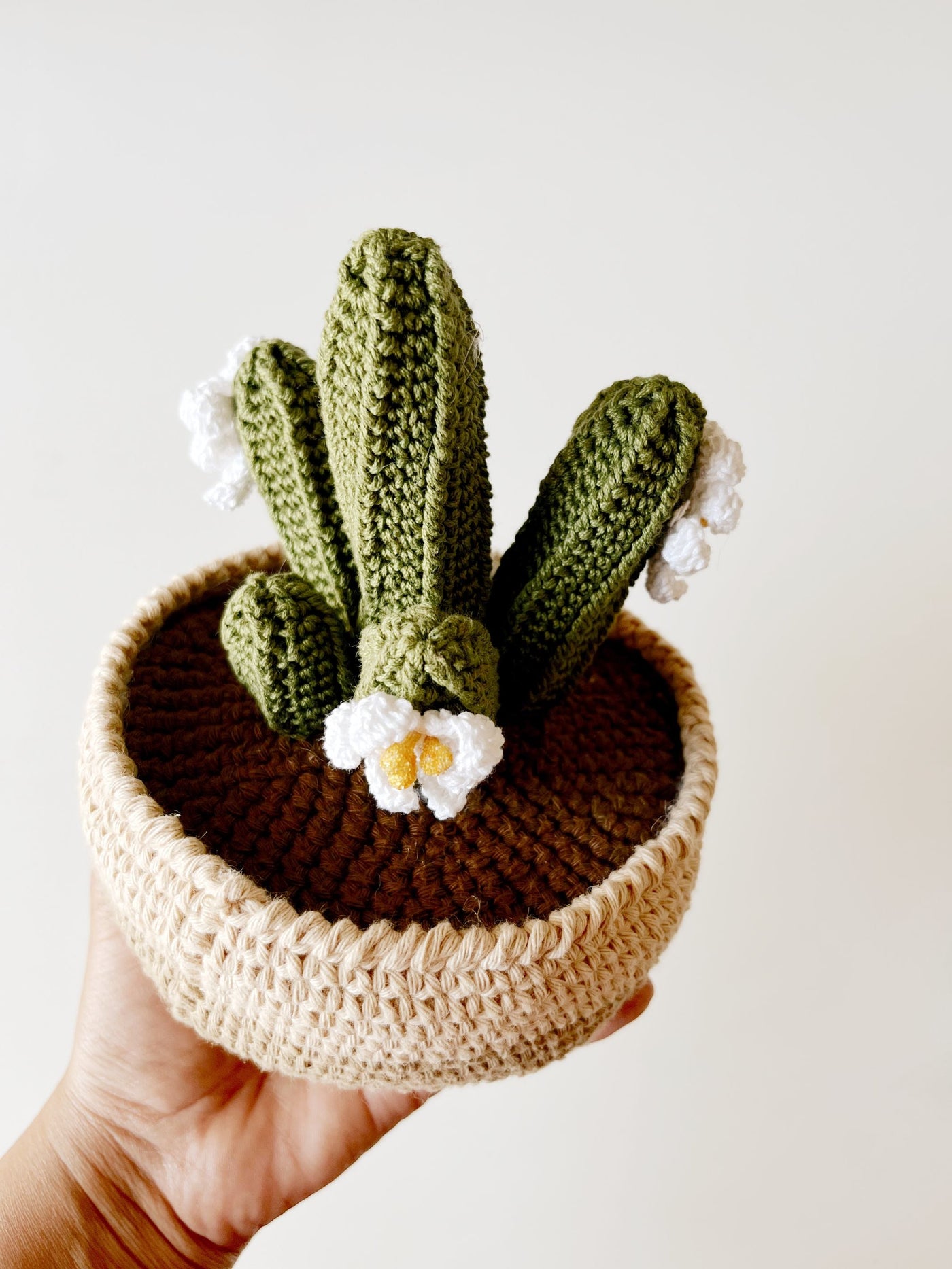 Crochet San Pedro Cactus