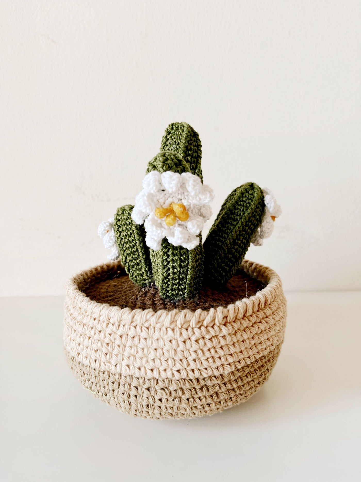 Crochet San Pedro Cactus