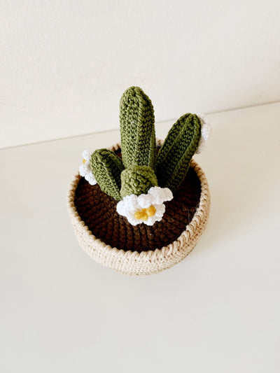 Crochet San Pedro Cactus