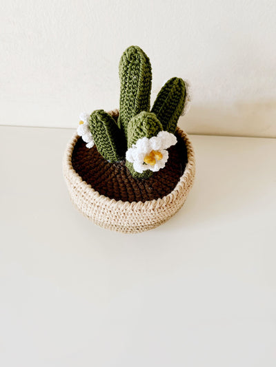 Crochet San Pedro Cactus