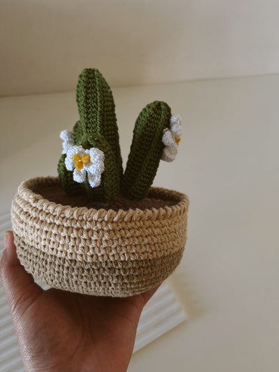 Crochet San Pedro Cactus